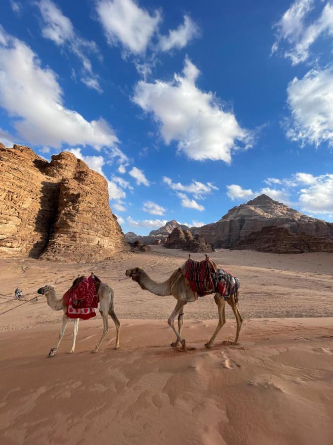 Desert Jewel Camp Ουάντι Ραμ Εξωτερικό φωτογραφία