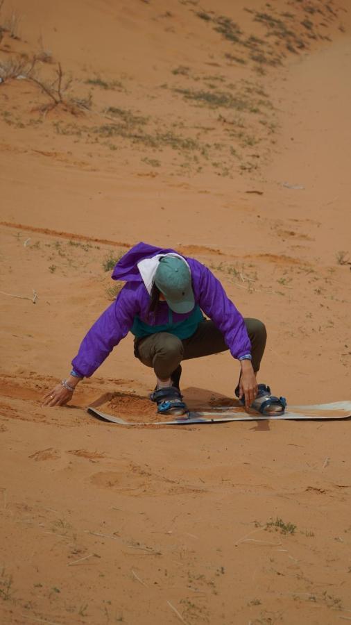 Desert Jewel Camp Ουάντι Ραμ Εξωτερικό φωτογραφία